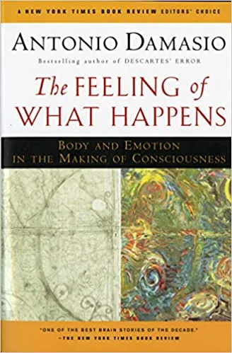 Book cover: The Feeling of What Happens